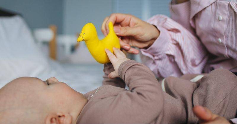 Pexels/Polina Tankilevitch